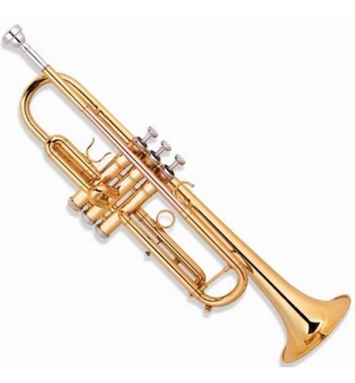 Picaldi Gold Deri Kutulu Trompet JYTR-2000G